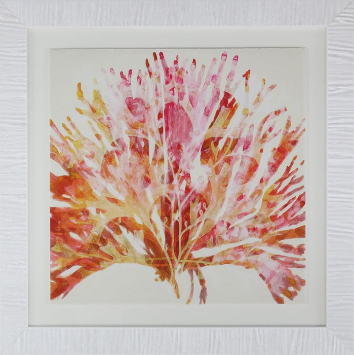 Modern Abstract Coral 2 37.5W x 37.5H