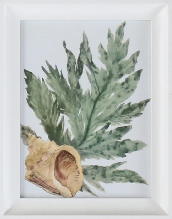Aquatic Assortment 5 11W x 14H