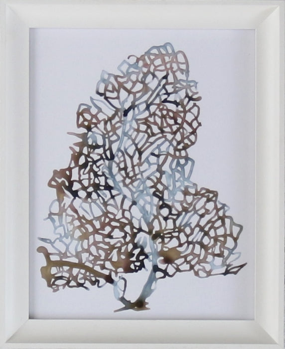 Aquatic Assortment 7 13W x 16H