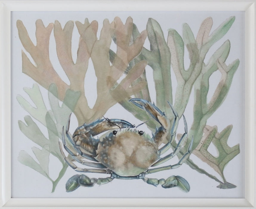 Aquatic Assortment 8 32W x 26H