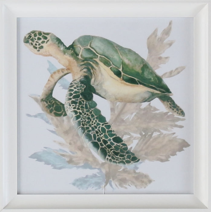 Aquatic Assortment 11 16W x 16H