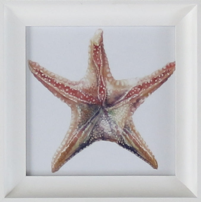 Aquatic Assortment 15 10W x 10H