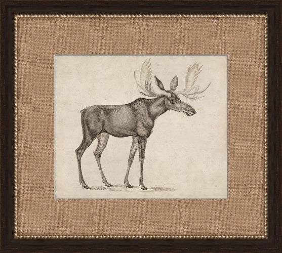 Antique Moose 19.5W x 17.5H