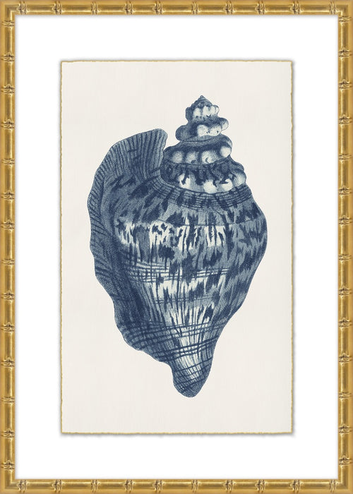 Navy Shell 1 23W X 32H