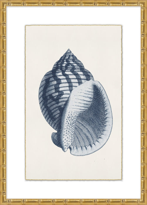 Navy Shell 2 23W X 32H