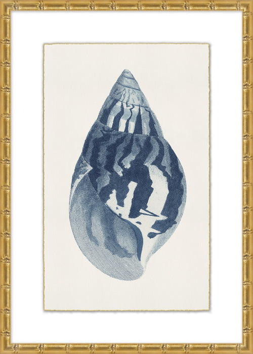 Navy Shell 4 23W X 32H