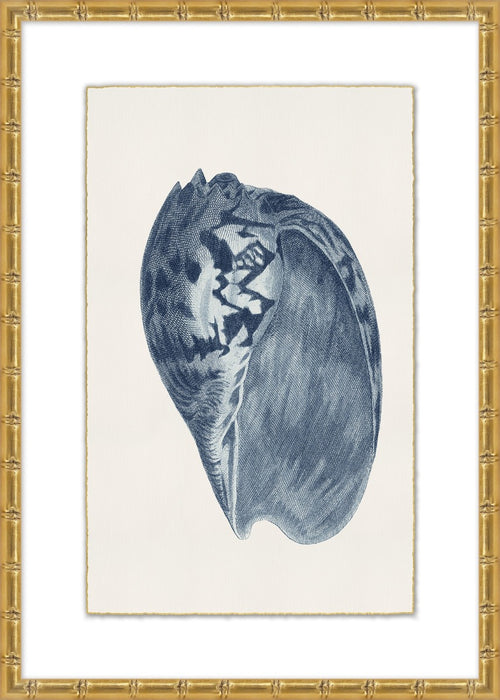 Navy Shell 5 23W X 32H