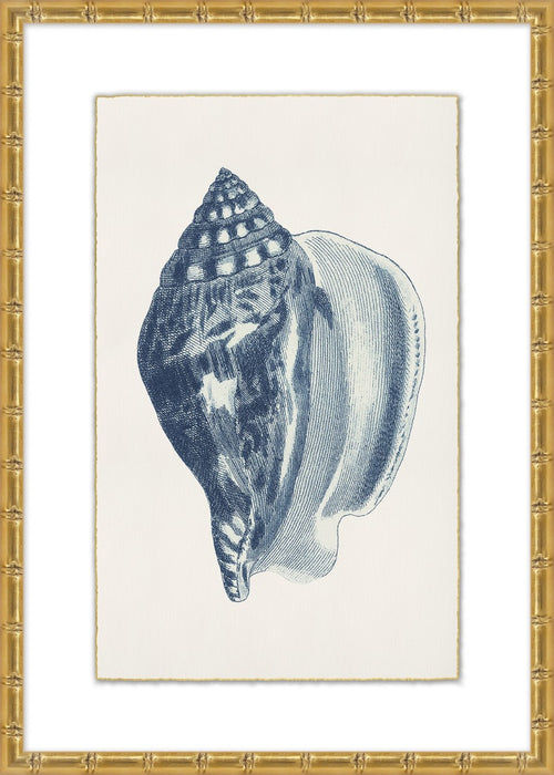 Navy Shell 6 23W X 32H