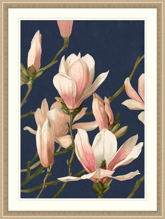 Blush Floral 2 37.25W X 49.25