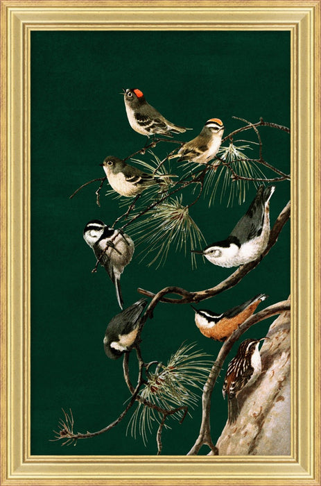 Woodland Birds 2 (Small Green) 12W X 18H 1
