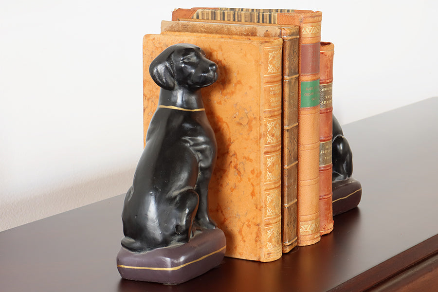 Pair of Labrador Bookends