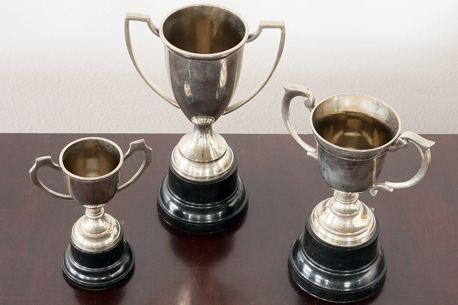 Set of 3 Trophies - Cleared Décor