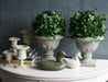 Curly Ivy Bush with Urn 7