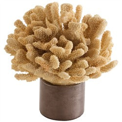 FIG 66 Malaya Coral Sculpture 7