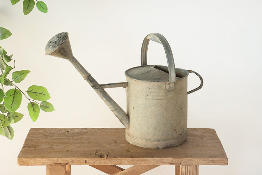 Antique European Watering Can