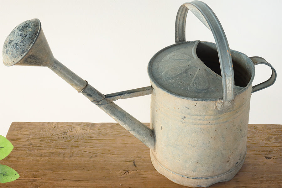 Antique European Watering Can