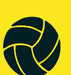Yellow Volleyball 15W x 15H 7