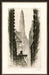  Fire Escapes 28W x 43H 7