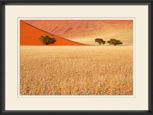  Namib Desert I 32W x 24H 7