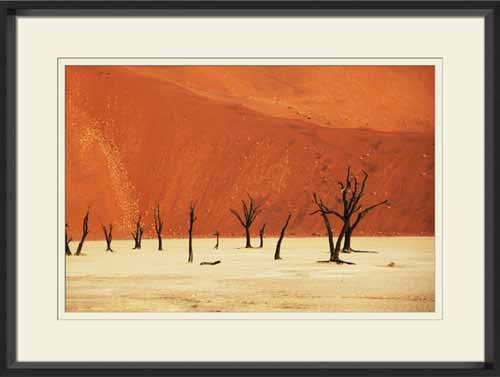  Namib Desert IV 32W x 24H 7