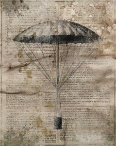 First Flyer 24W x 30H 6