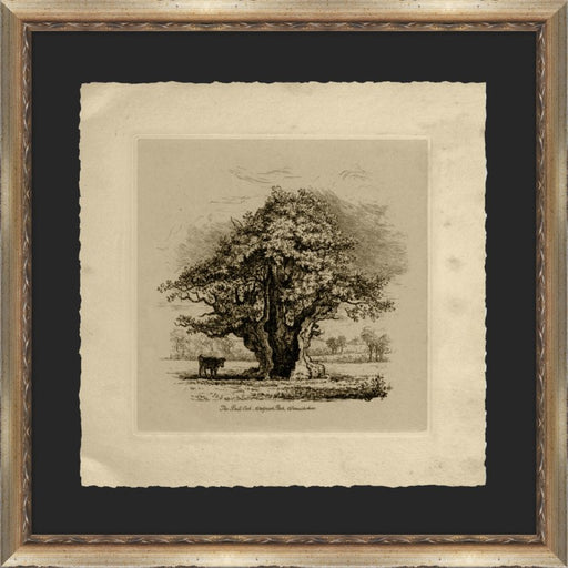 The Bull Oak 22 5 x 22 5 1