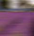 Abstract Landscape V 1