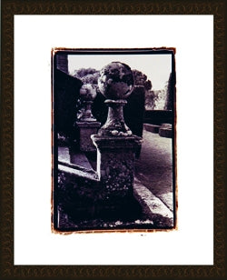  Italian Garden Series Ball 8