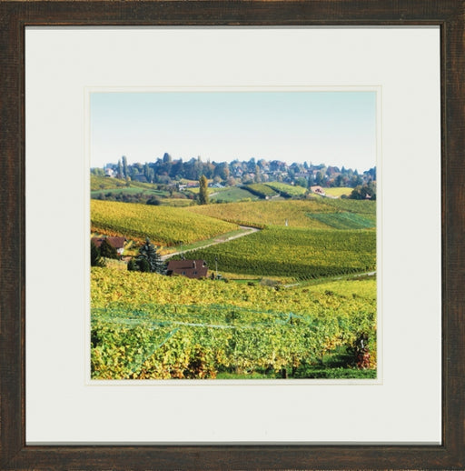 Painted Tuscany II 8