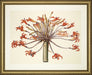 Large Amaryllis Bouquet 7