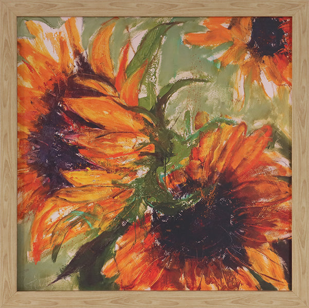 Shine II 26.5W x 26.5H - Cleared Art