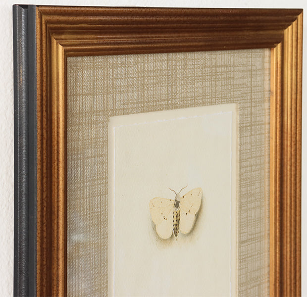 Moonlit Flutter 11W x 16H