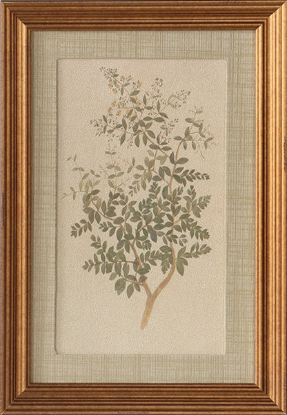 Vintage Wildflower 11W x 16H