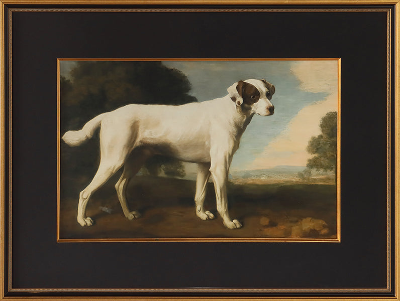 Poised Pup 3  27.25W x 20.25H