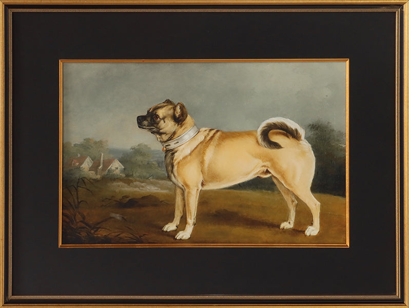Poised Pup 4  27.25W x 20.25H