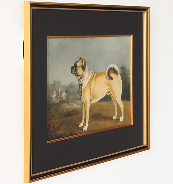 Poised Pup 4  27.25W x 20.25H
