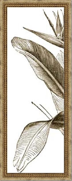 Bird of Paradise Triptych Series 8