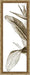 Bird of Paradise Triptych Series 8