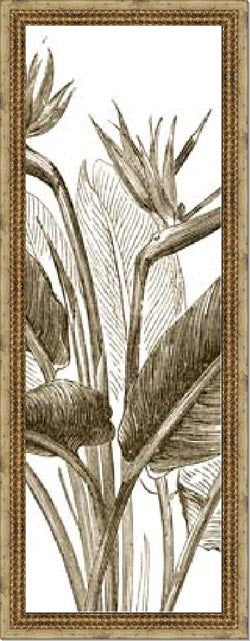 c 8