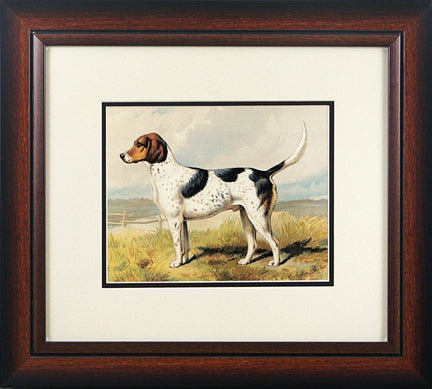Fox Hound and Pointer Series Set of 2 17