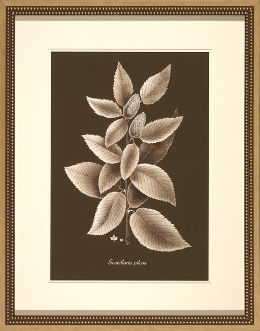 Sepia Leaves on Chocolate II 8