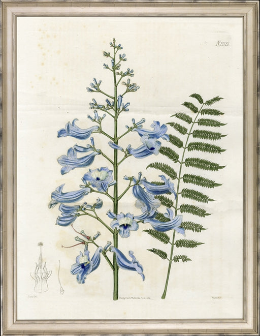 Large Blue Botanical I 7