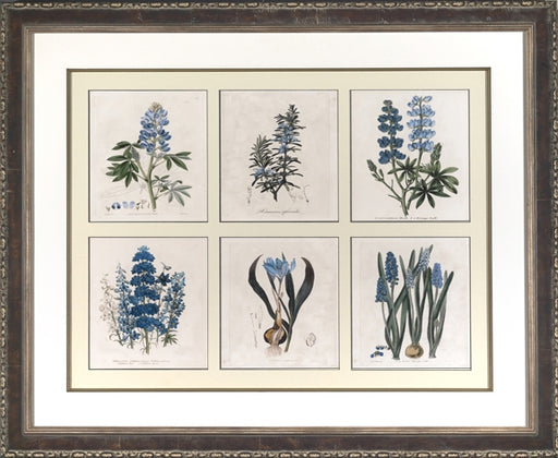 Blue Botanical Collection 7