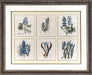 Blue Botanical Collection 7