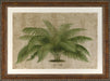 Large Horizontal Palm I 7