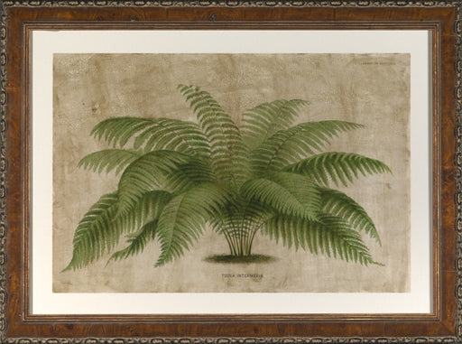 Large Horizontal Palm I 7