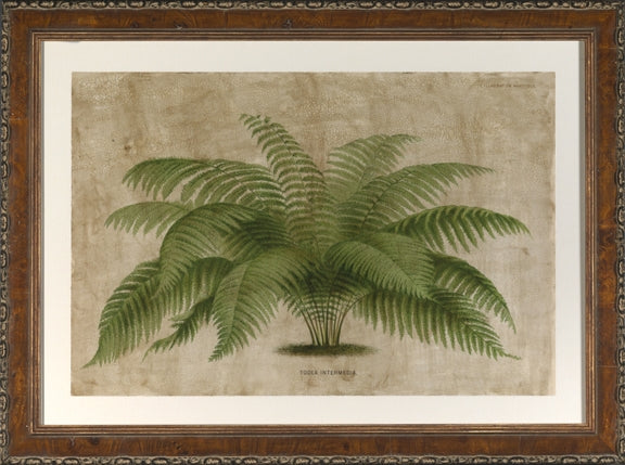 Large Horizontal Palm I 7
