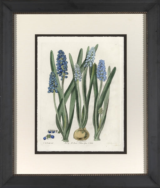 Blue Botanical II 7