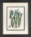 Blue Botanical II 7