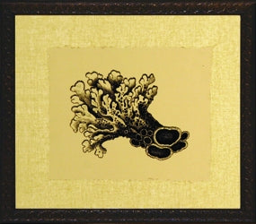 Coral on Khaki Series Set of 4 III 8